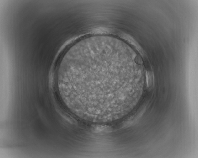 X0000115160579200911241551