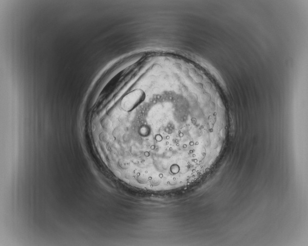 X0000115160580200911241551