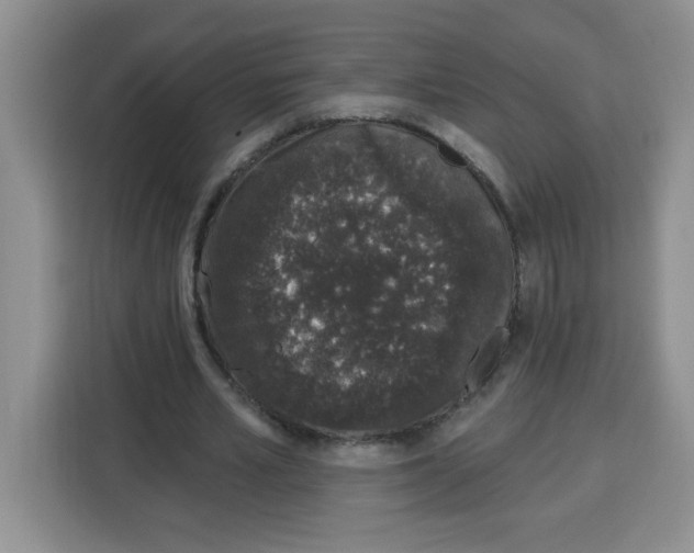 X0000115160581200911241551