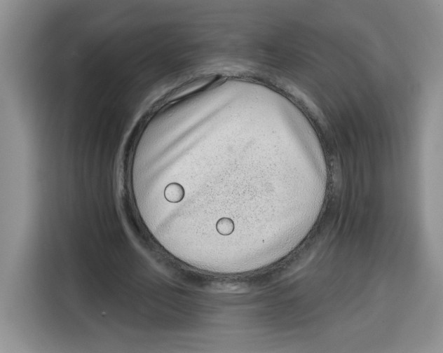 X0000115160582200911241551