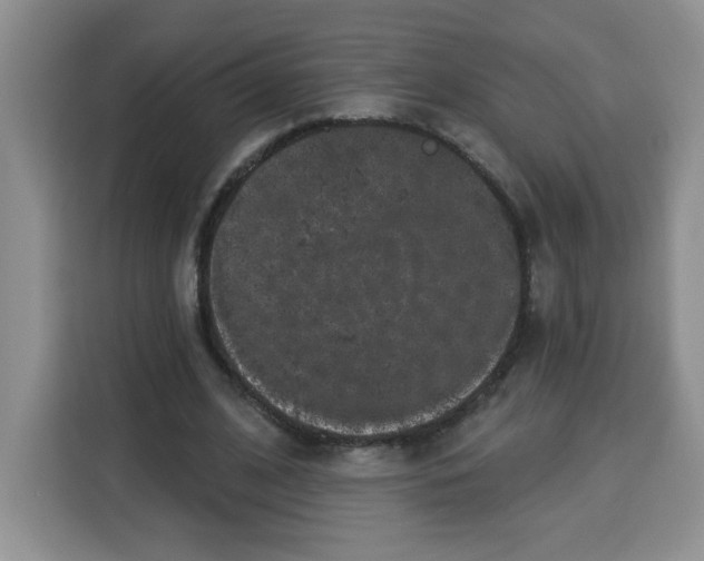 X0000115160584200911241551