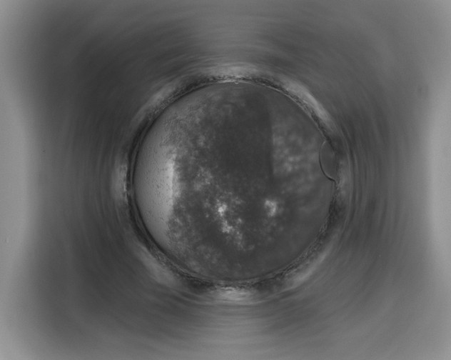 X0000115160585200911241551