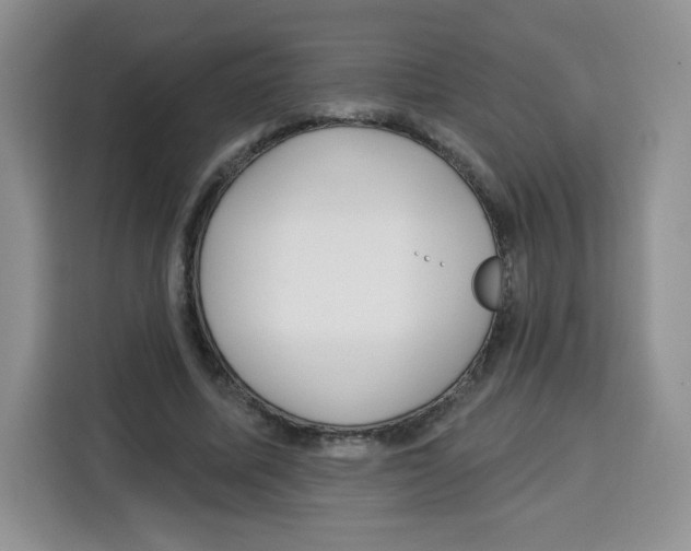 X0000115160587200911241550