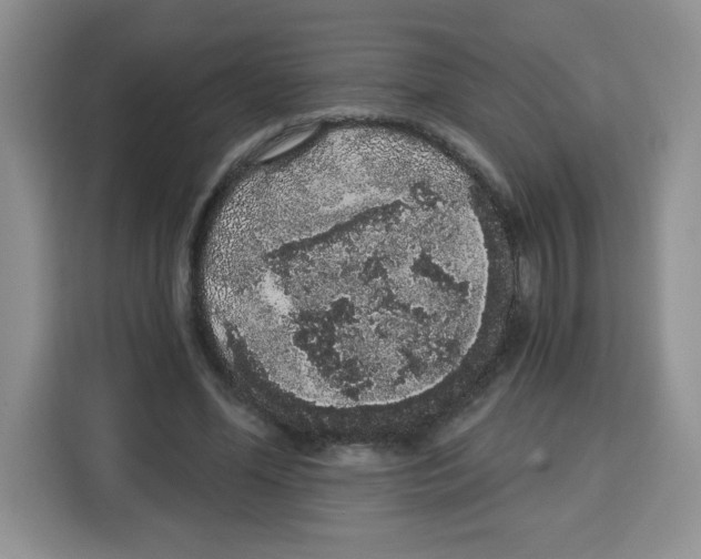 X0000115160588200911241550