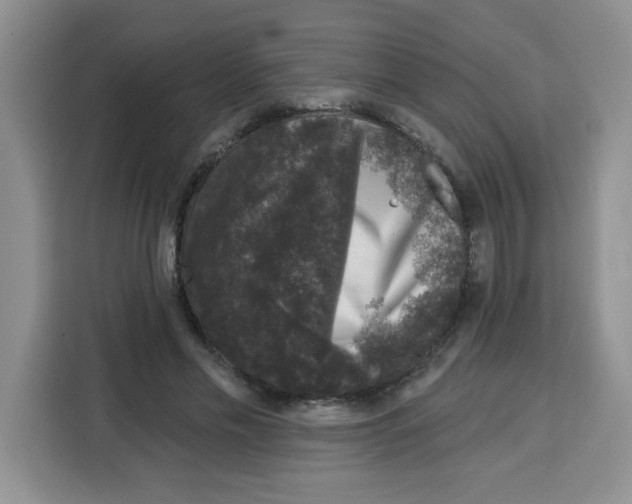 X0000115160589200911241550