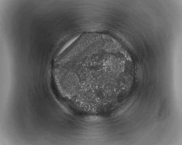 X0000115160590200911241550