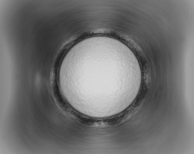 X0000115160591200911241550