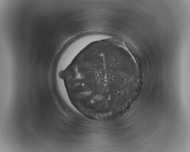 X0000115160592200911241550