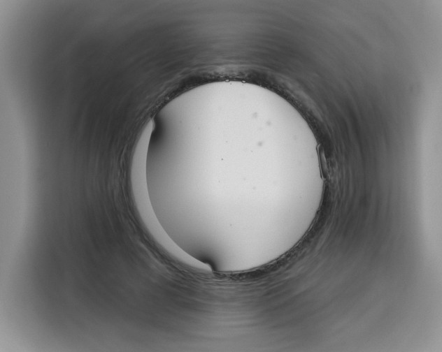 X0000115160593200911241550