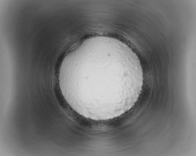 X0000115160594200911241550