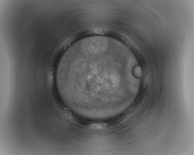 X0000115160595200911241550