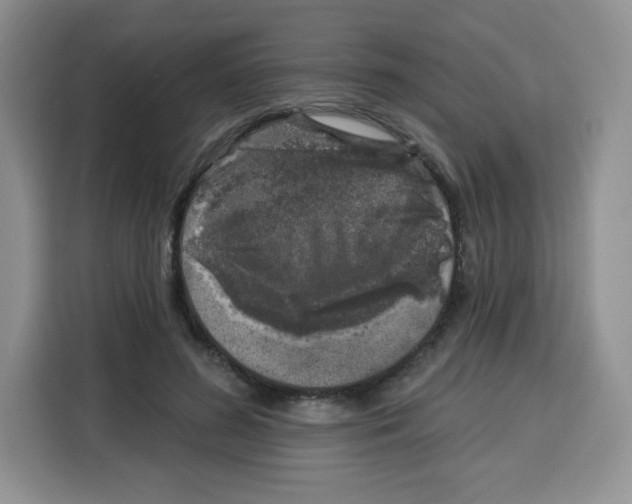 X0000115160596200911241550