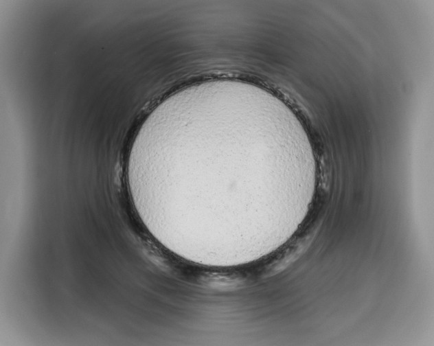 X0000115160597200911241550