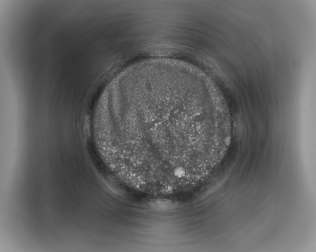 X0000115160598200911241550