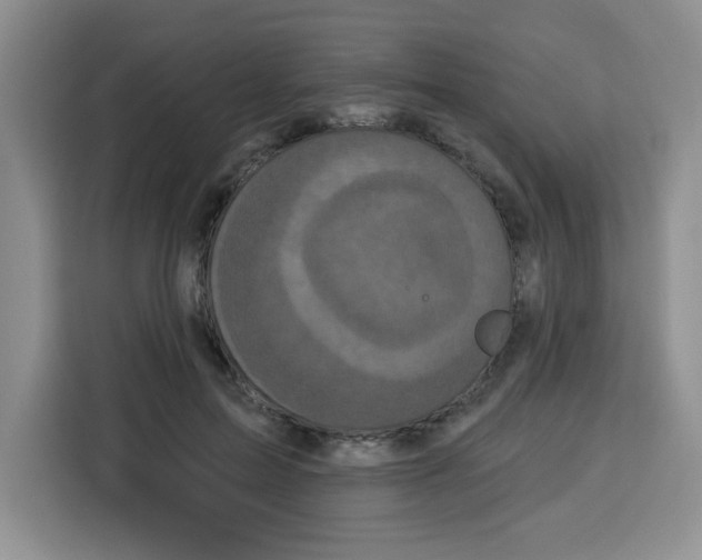 X0000115160599200911241550