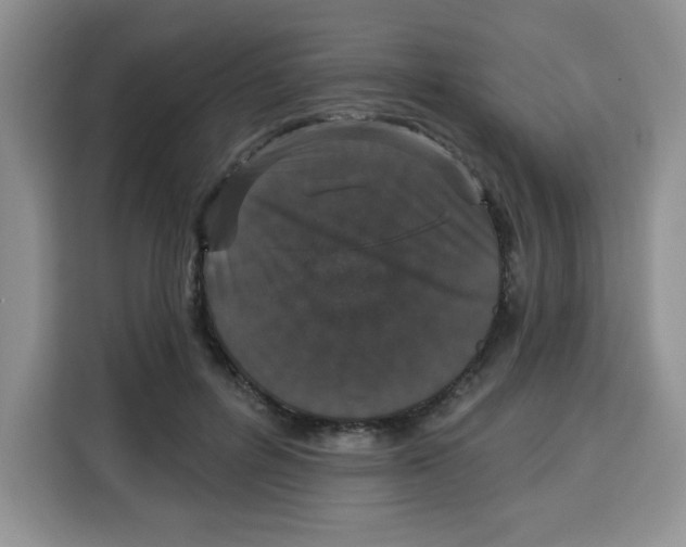 X0000115160600200911241550