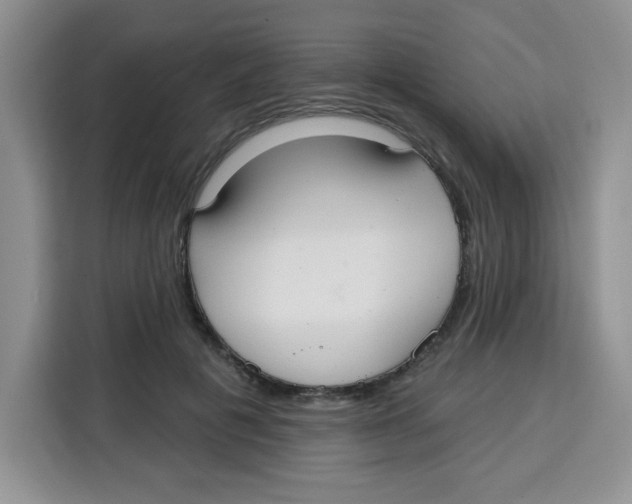 X0000115160601200911241550