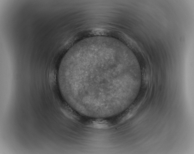 X0000115160603200911241550