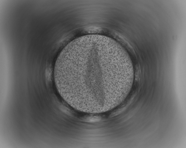 X0000115160604200911241550