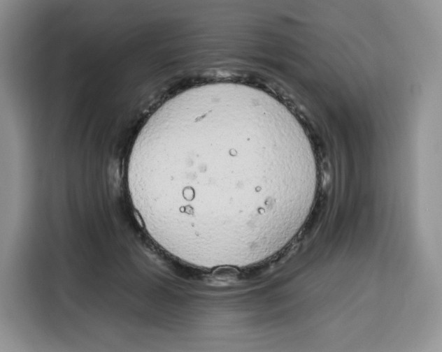 X0000115160605200911241550