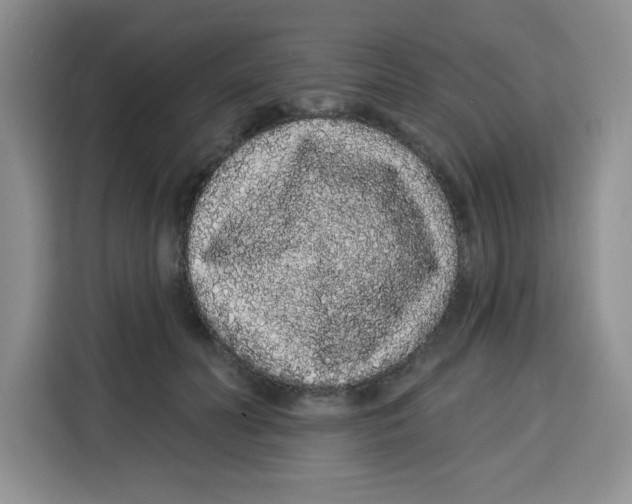 X0000115160606200911241550