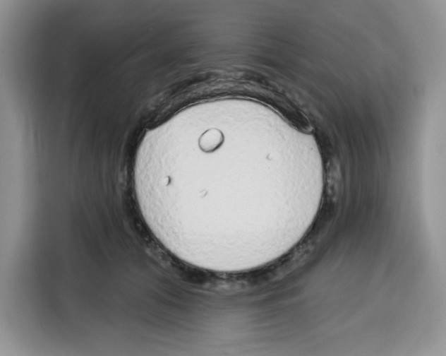 X0000115160608200911241550