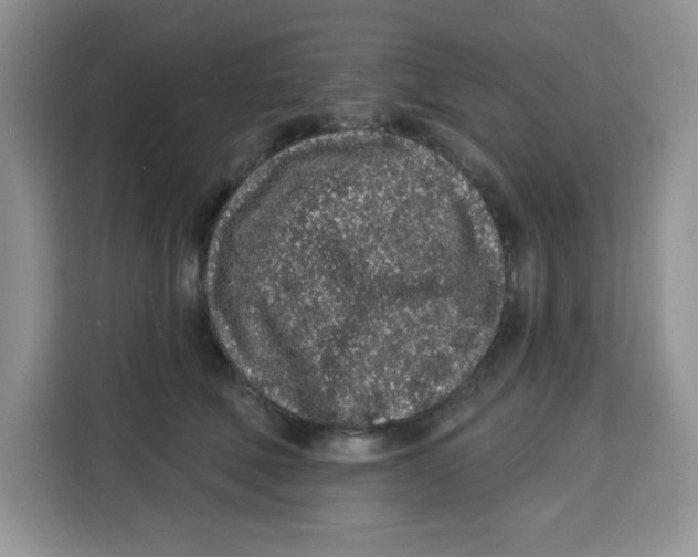 X0000115160610200911241550