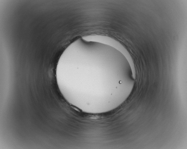 X0000115160611200911241550