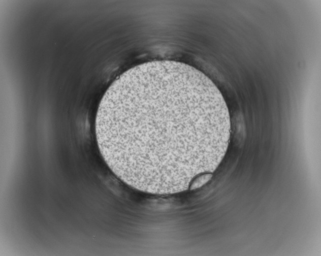 X0000115160615200911241550