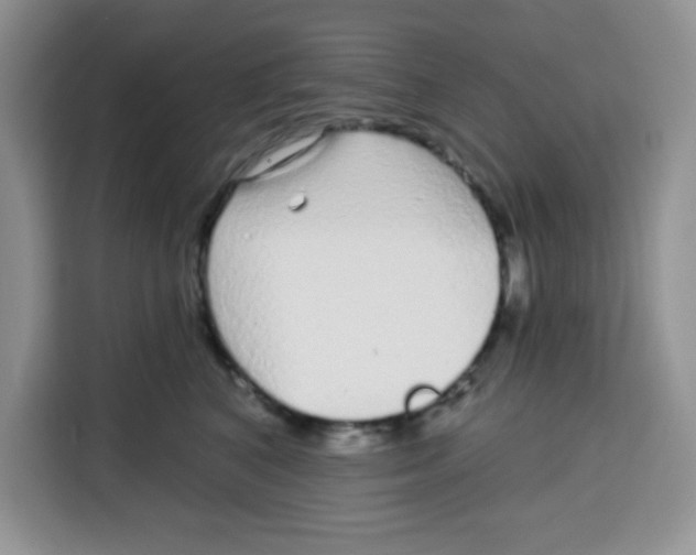 X0000115160616200911241550