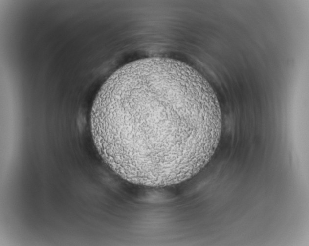 X0000115160618200911241550