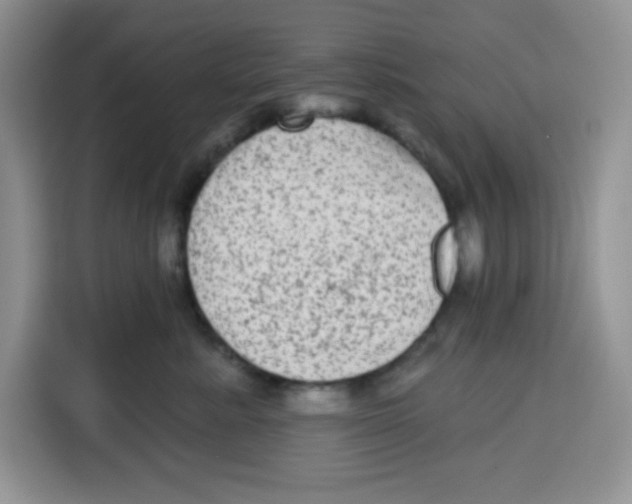 X0000115160619200911241550