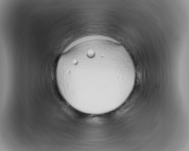 X0000115160620200911241550