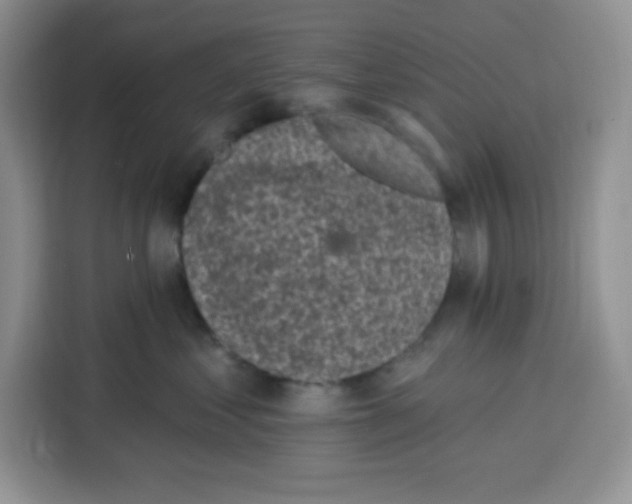 X0000115160621200911241550