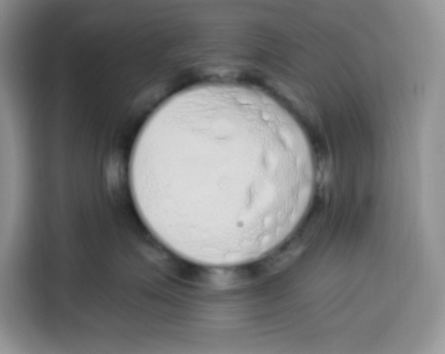 X0000115160623200911241550