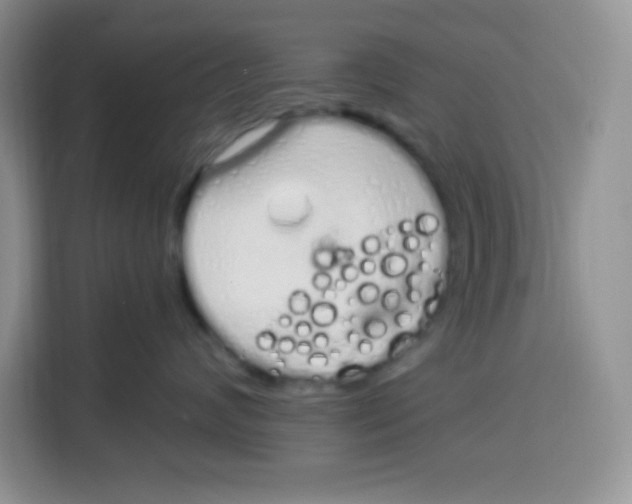 X0000115160624200911241550