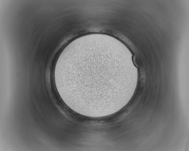 X0000115160626200911241549