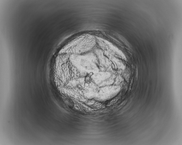 X0000115160627200911241549