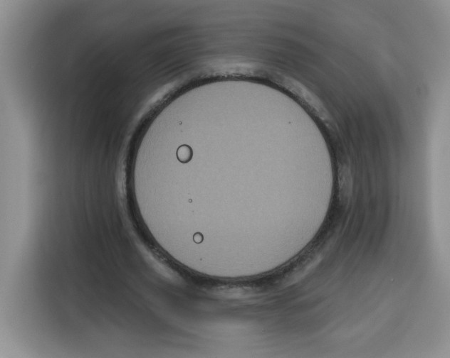 X0000115160629200911241549