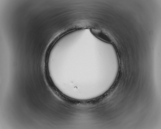 X0000115160630200911241549