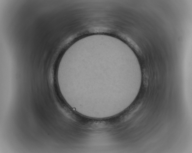 X0000115160631200911241549