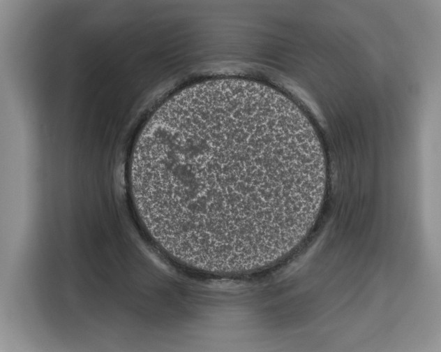 X0000115160633200911241549