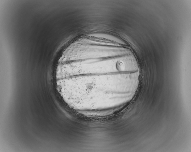 X0000115160634200911241549