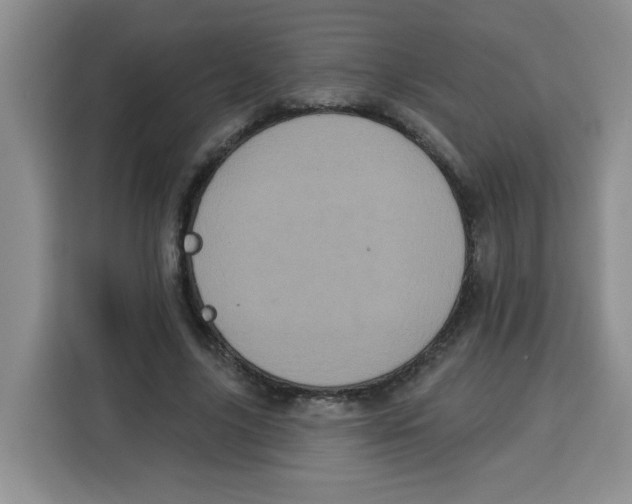 X0000115160635200911241550