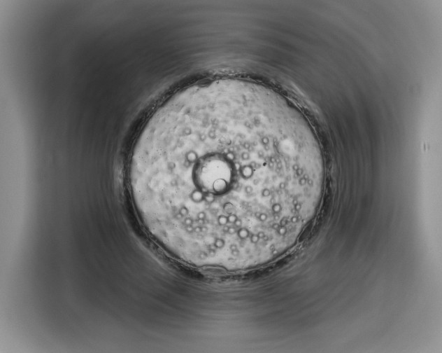 X0000115160637200911241550