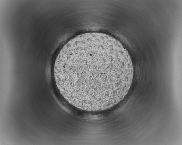 X0000115160638200911241550