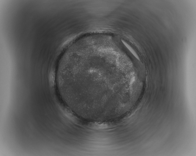 X0000115160640200911241550