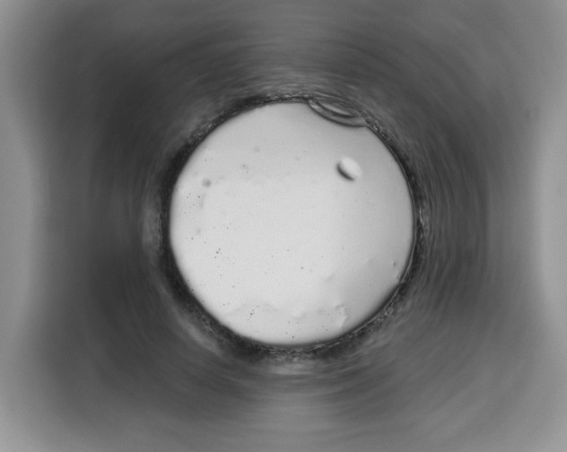 X0000115160642200911241550