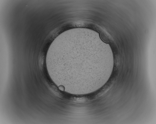 X0000115160645200911241550