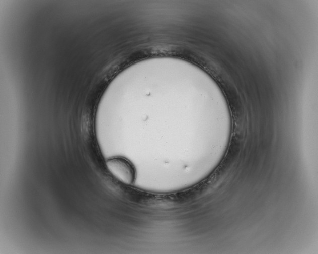 X0000115160648200911241550